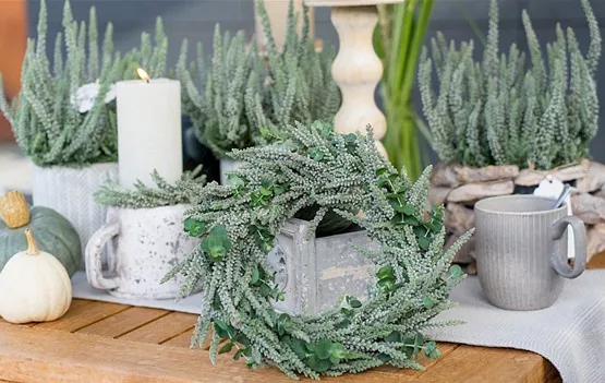 fluffy kranz.jpg fluffy kranz.jpg