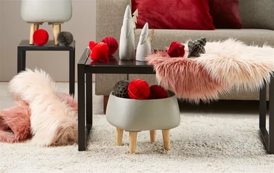 Kissen und Felle.jpg Kissen und Felle.jpg