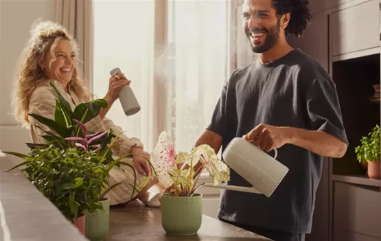 indoortöpfe.png indoortöpfe.png